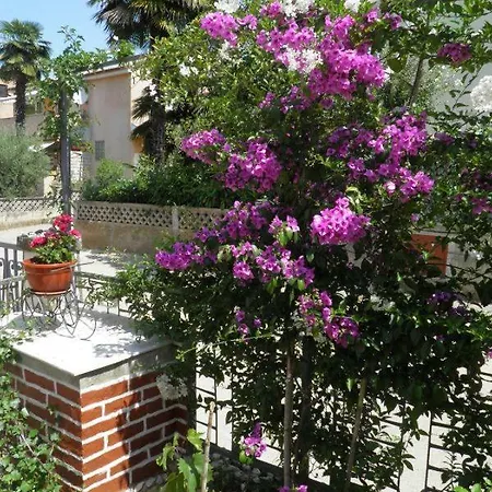 Sendi Apartment *